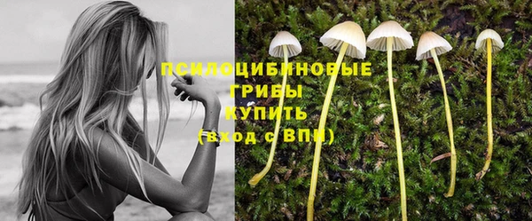 прущая мука Куйбышев